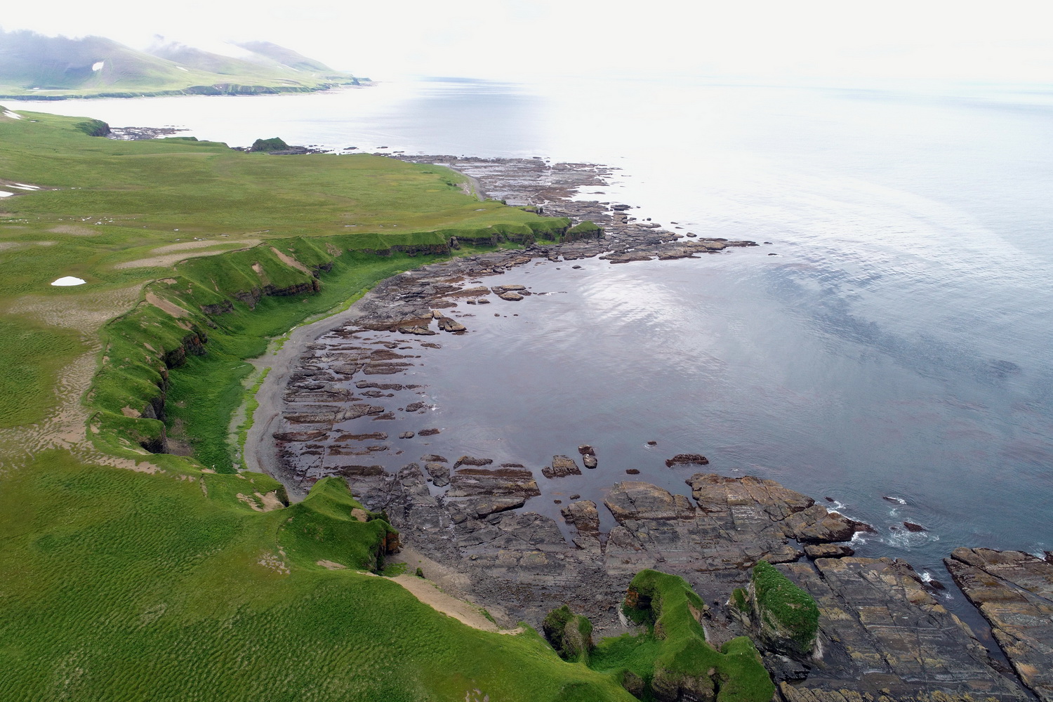 The Commander Islands Reserve Uses Drone for Harbor Seal Counts for the